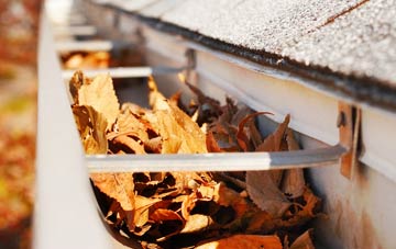 Hoggards Green gutter cleaning companies